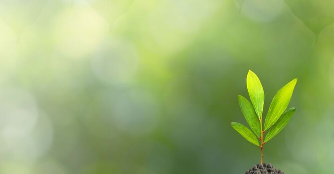 How Life Transitions Therapy Can Help You Navigate Big Changes